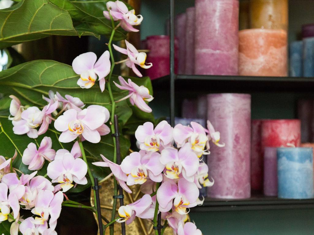 Workshop bloemschikken by fran